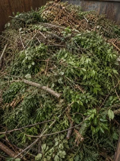 Déchets de type verts