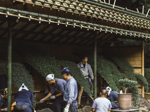 Intégration CO2 déchet