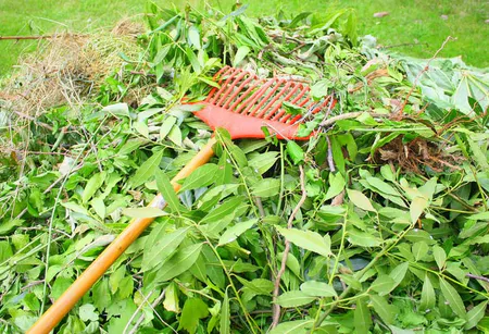 Benne avec déchets verts jardin