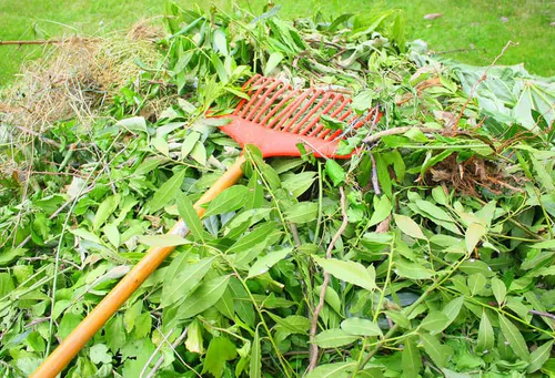 Benne avec déchets verts jardin