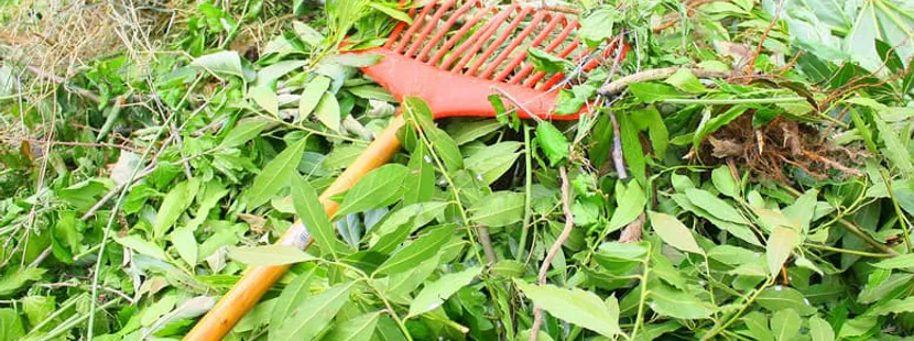 Benne avec déchets verts jardin