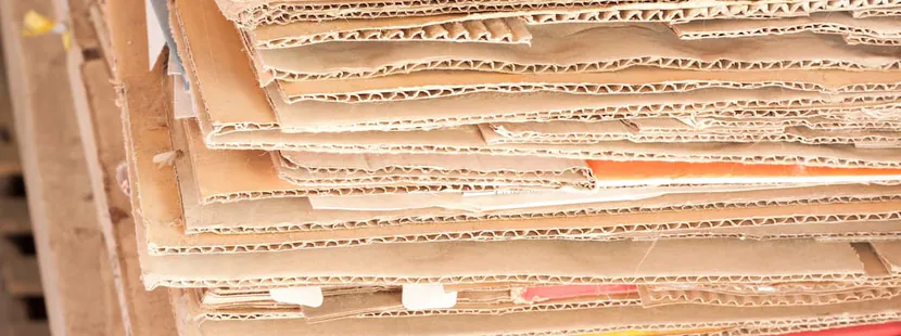 Location Benne Déchets Carton